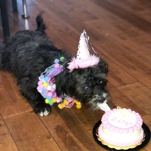 Meet your Posher, Kelly